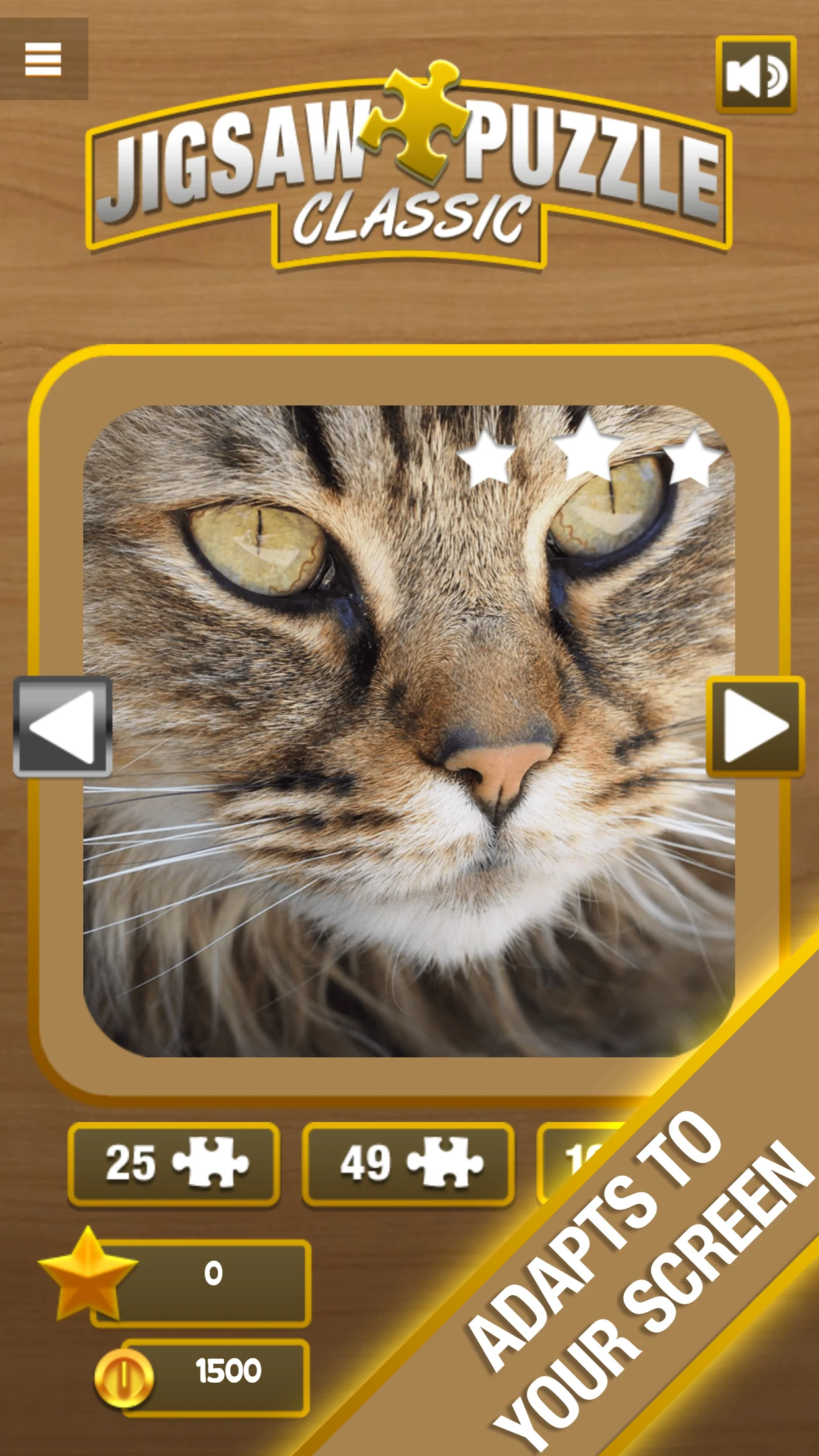 Jigsaw Puzzle screenshot