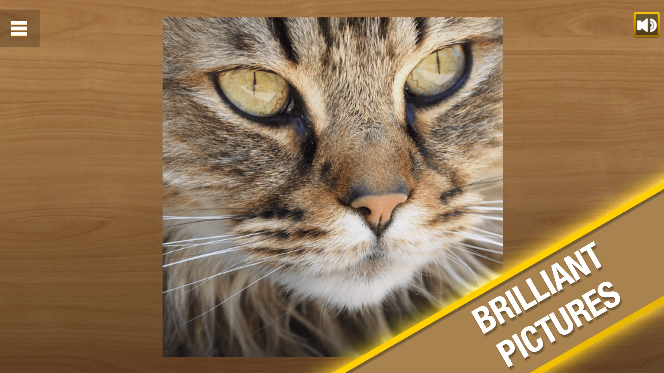 Jigsaw Puzzle screenshot